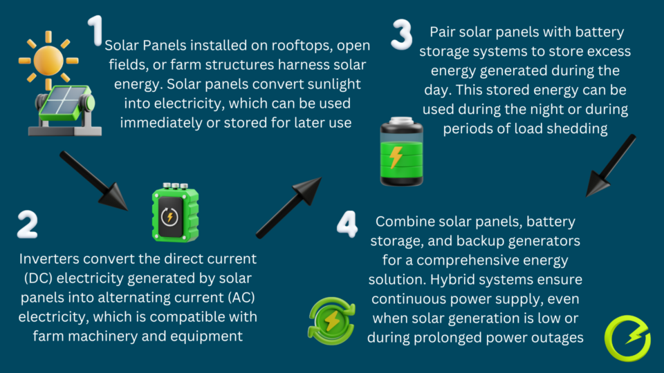 Transforming Farms in South Africa with Renewable Energy july blog