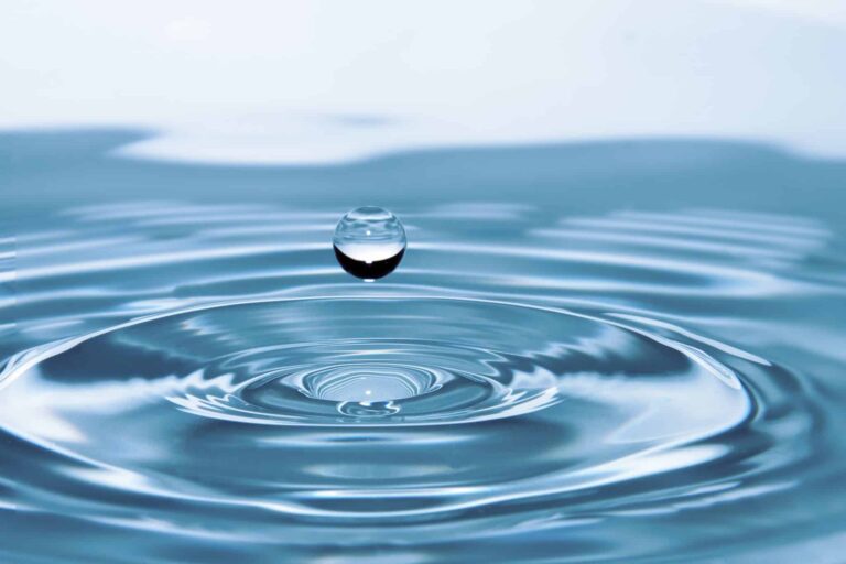The Critical Role of Water Efficiency Measures Given the Water Scarcity in South Africa and the Changing Climate1