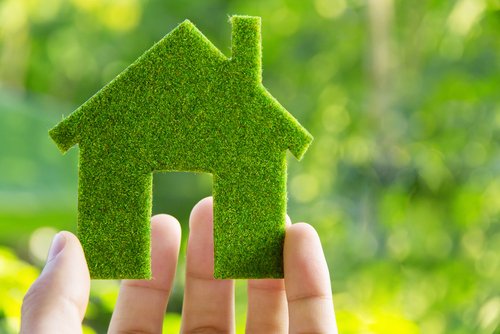 The Environmental Benefits of Going Green in Your Home - Zero